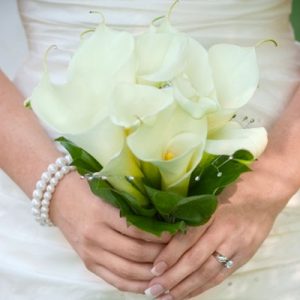 Plan Your Wedding & I'll Give You Wedding Destination, … Quiz Lilies