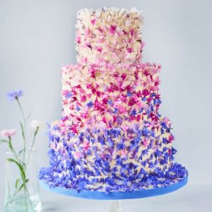 Plan Your Wedding & I'll Give You Wedding Destination, … Quiz 