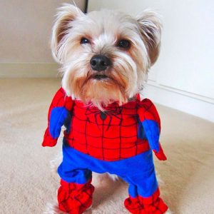 Which Marvel Character Are You? 