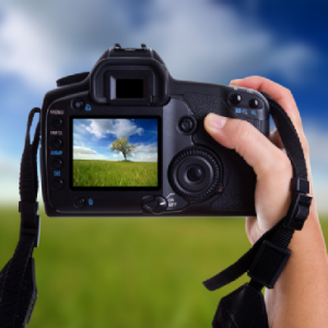 This Quiz Will Officially Determine What % Millennial Stereotype You Are Digital camera