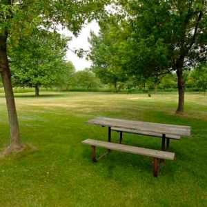 What City Am I? Quiz Park