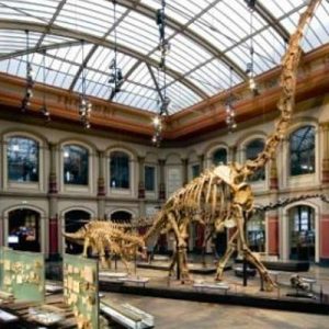 What City Am I? Quiz Museum