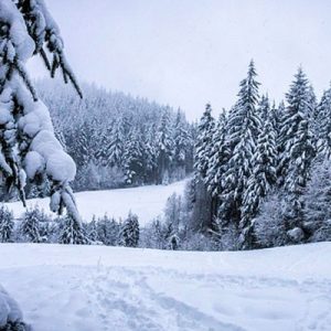 What City Am I? Quiz Winter