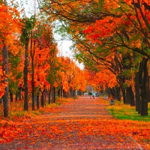 What City Am I? Quiz Autumn