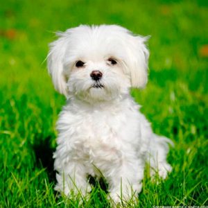 Design Perfect Life To Know Which City You Should Live … Quiz Dog