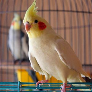 Design Perfect Life To Know Which City You Should Live … Quiz Bird