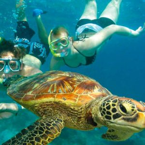 Design Perfect Life To Know Which City You Should Live … Quiz Snorkelling