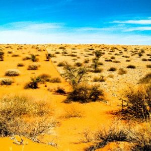 Is Your General Knowledge As Good As You Think It Is? Quiz Kalahari
