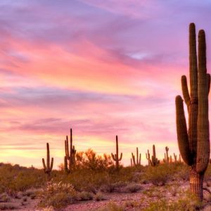 Is Your General Knowledge As Good As You Think It Is? Quiz Sonoran