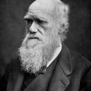 Is Your General Knowledge As Good As You Think It Is? Quiz Charles Darwin