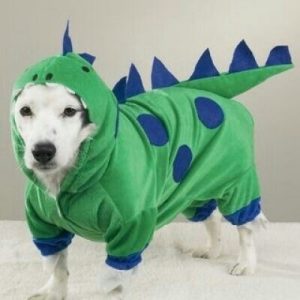 Which Big Dog And Small Dog Are You A Combination Of? 🐶 Dinosaur
