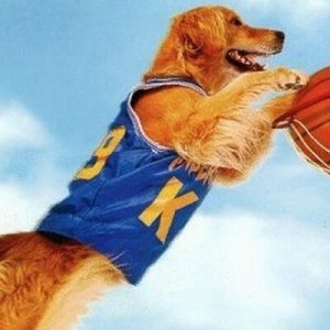 Which Big Dog And Small Dog Are You A Combination Of? 🐶 Air Bud
