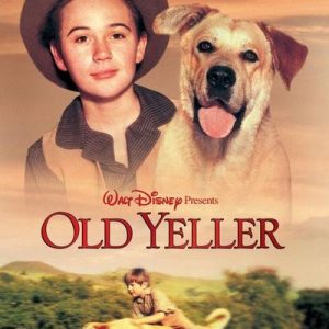 Which Big Dog And Small Dog Are You A Combination Of? 🐶 Old Yeller