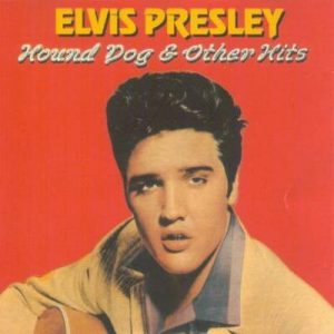 Which Big Dog And Small Dog Are You A Combination Of? 🐶 Hound Dog - Elvis Presley