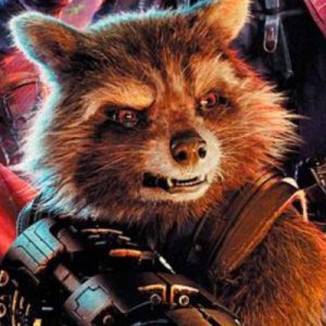 Choose Between These Marvel Characters and We’ll Reveal Your Introvert/Extrovert Percentage Rocket Raccoon