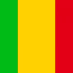 Only Certified Genius Can Score Higher Than 20 On This General Knowledge Quiz Mali