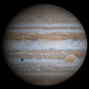 Only Certified Genius Can Score Higher Than 20 On This General Knowledge Quiz Jupiter