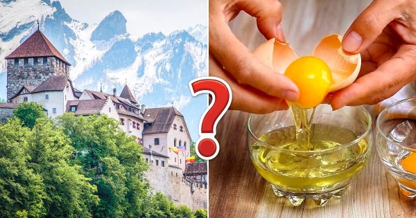 Can You Go 20 for 20 in This Mega-Tough General Knowledge Quiz?