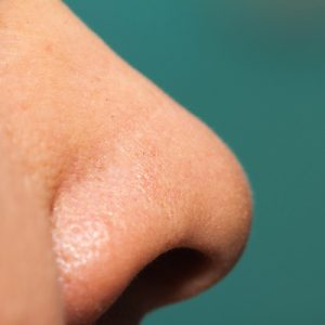 Only a Trivia Genius Can Pass This General Knowledge Quiz Nose