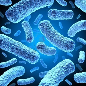 Only a Trivia Genius Can Pass This General Knowledge Quiz Bacteria