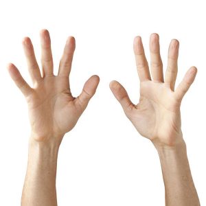 Can You Pass an Elementary School Science Exam? Hand length