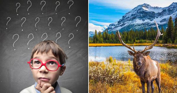 Only a Trivia Genius Can Pass This General Knowledge Quiz