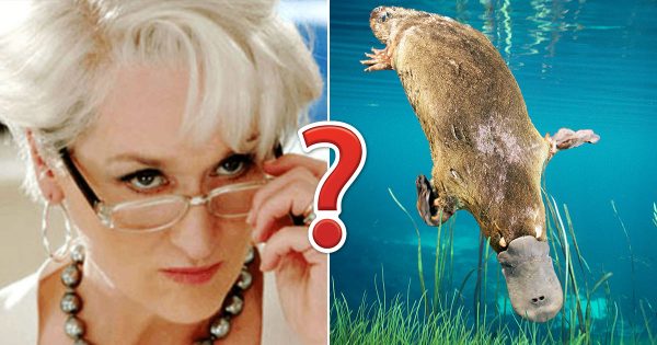 If You Think You Can Pass This Tough General Knowledge Quiz, You’re Wrong