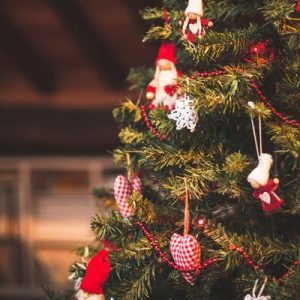 Are You A General Knowledge Genius? Quiz Christmas