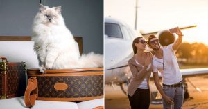 Do You Have Expensive Taste? Quiz