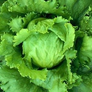 🥪 Can We Guess What You Look Like Based on the Sandwich You Make? Lettuce