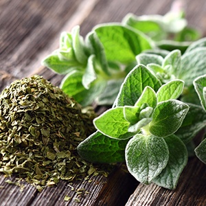 🥪 Can We Guess What You Look Like Based on the Sandwich You Make? Oregano
