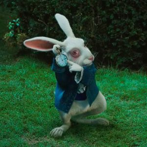 Sorry, But Only 1 in 10 People Can Pass This General Knowledge Quiz White Rabbit