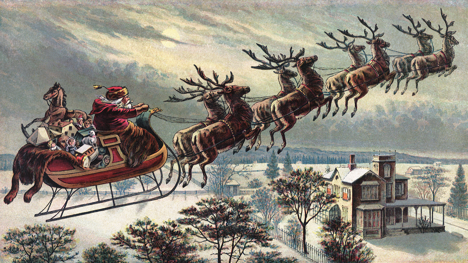 Sorry, But Only 1 in 10 People Can Pass This General Knowledge Quiz Santa Claus reindeers