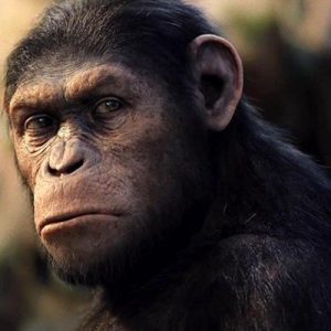 Can You Match These Iconic Quotes to the 🍿Movies They Were Said In? Planet of the Apes