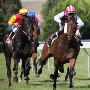What French Food Are You? Horse racing