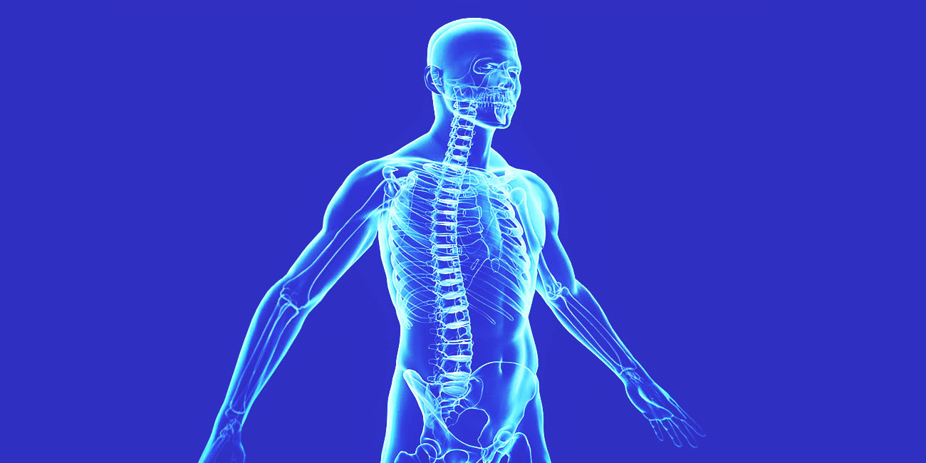 If You Can Get 15 on This Quiz on Your First Try, You Definitely Know Lot About Human Body Spine