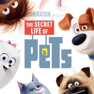 Everyone Is a Combo of Two Female Netflix Characters — Here’s Yours The Secret Life of Pets
