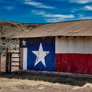 Can You Correctly Identify 100% Of These States by Their Nicknames? Texas