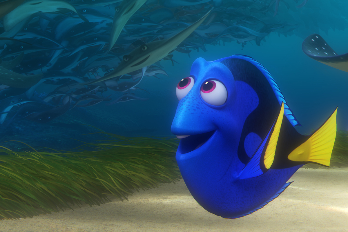 You got: Dory from Finding Nemo! Which Pixar Character Are You?