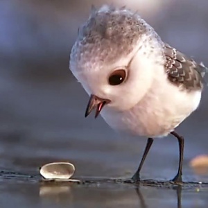 Which Two Pixar Characters Are You A Combo Of? Quiz Piper