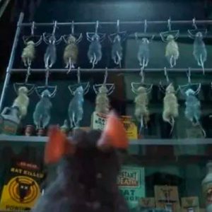 Everyone Has a Pixar Character That Matches Their Personality — Here’s Yours The window of dead rats in Ratatouille