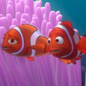 Everyone Has a Pixar Character That Matches Their Personality — Here’s Yours The death of Nemo\'s mother in Finding Nemo