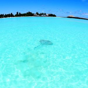 This Trivia Quiz Is Surprisingly Difficult, But You Should Try to Pass It Anyway The sea