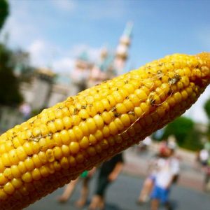 Spend a Day in Disneyland and We’ll Tell You Which Celeb You Are Going With Corn on the Cob
