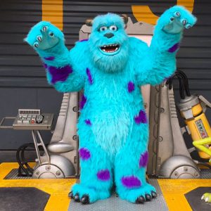 Spend a Day in Disneyland and We’ll Tell You Which Celeb You Are Going With Sulley