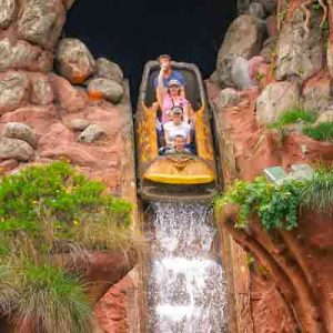 Spend a Day in Disneyland and We’ll Tell You Which Celeb You Are Going With Splash Mountain