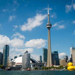 Plan Trip To Canada To Know Which Dog Breed Suits You B… Quiz CN Tower