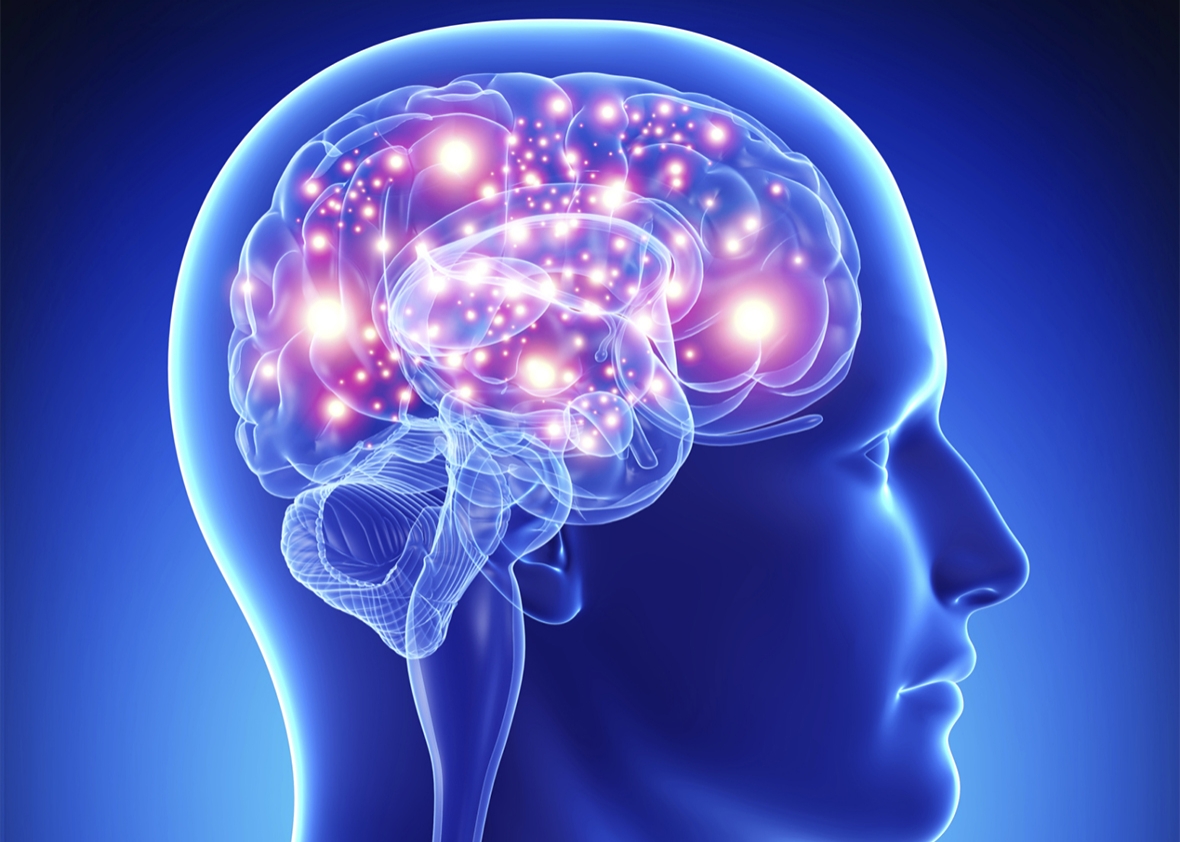 Answer These 22 Questions to Find Out If You Have Enough General Knowledge human brain