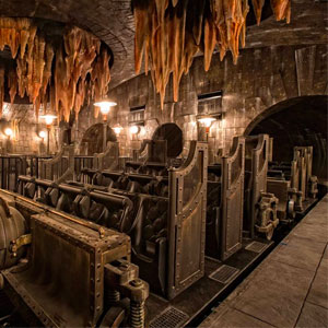 🎢 Spend a Day in Universal Studios and We’ll Give You a Surreal Place to Visit Harry Potter and the Escape from Gringott’s