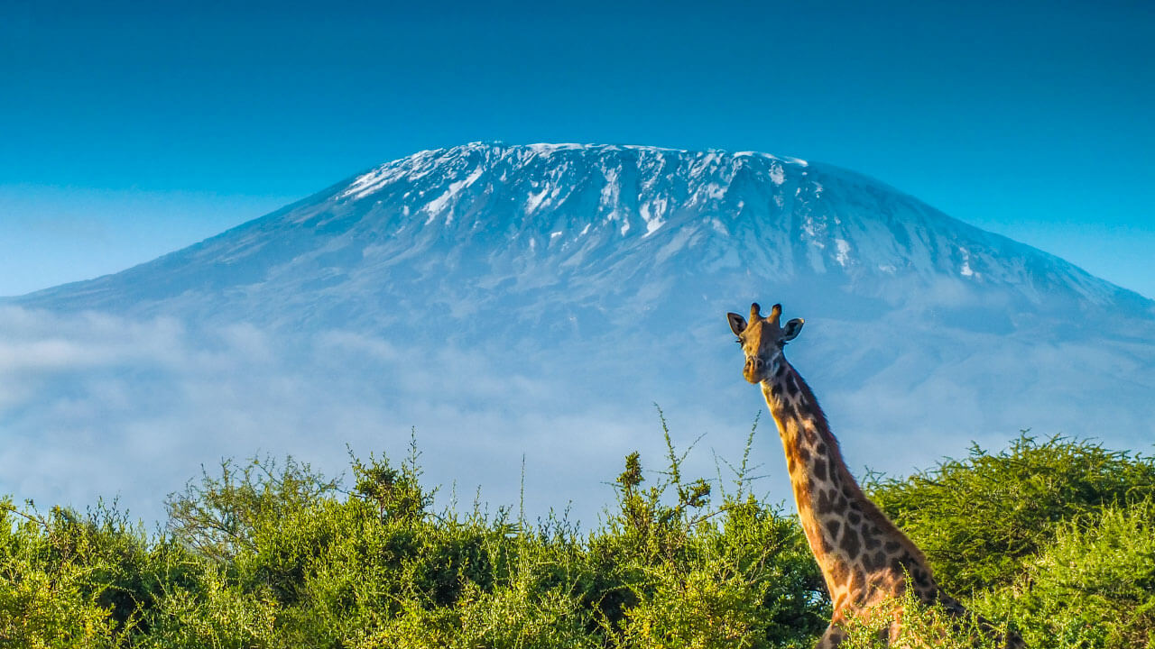 Can You Pass This 40-Question Geography Test That Gets Progressively Harder With Each Question? Mount Kilimanjaro
